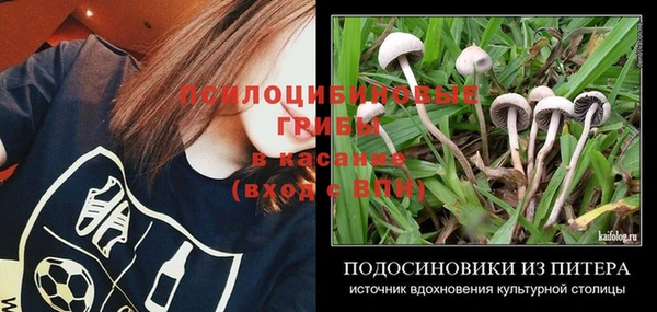 а пвп мука Балабаново