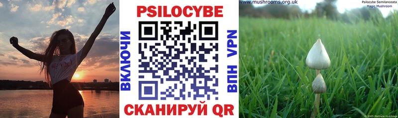 Псилоцибиновые грибы ЛСД  Купить закладки  Октябрьск 